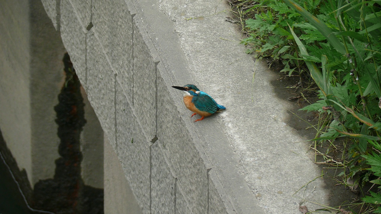 a0185081_14491159.jpg