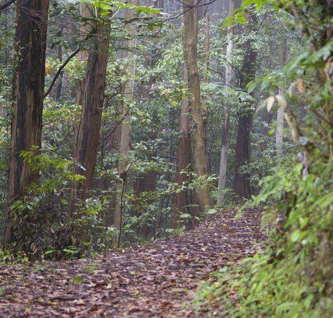 熊ノ岳いこいの広場_e0197884_2012254.jpg