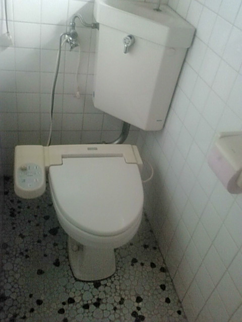 トイレリフォーム_a0131886_13132557.jpg