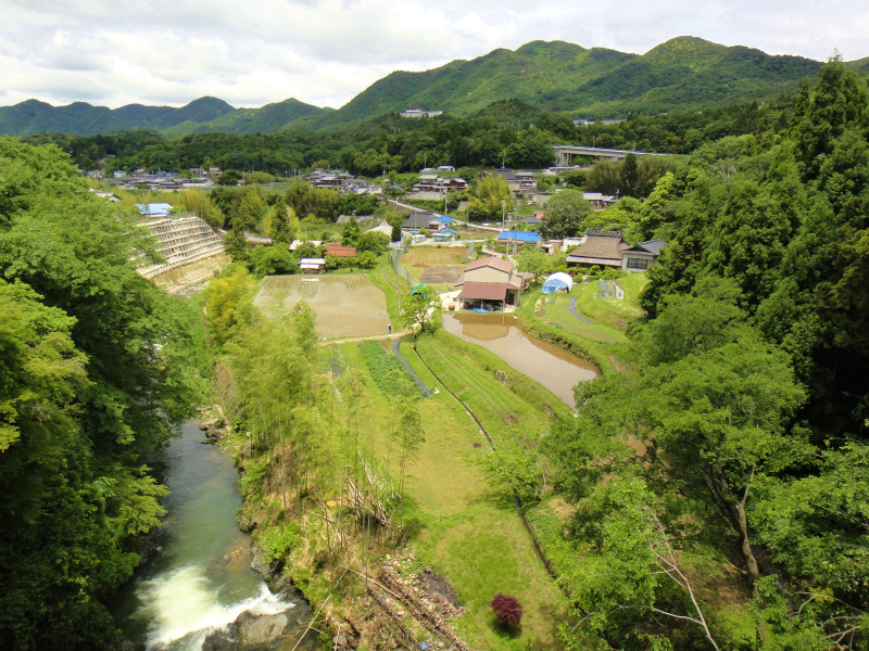 丹生山系トレイル探検_b0220886_1039577.jpg