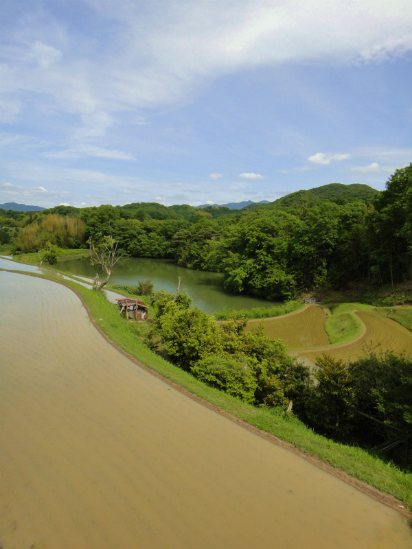 丹生山系トレイル探検_b0220886_10553464.jpg