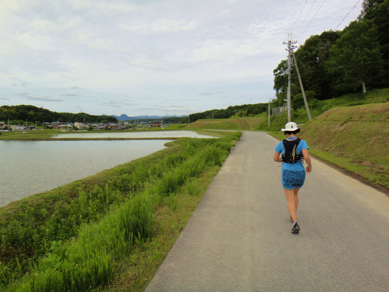 丹生山系トレイル探検_b0220886_10554964.jpg