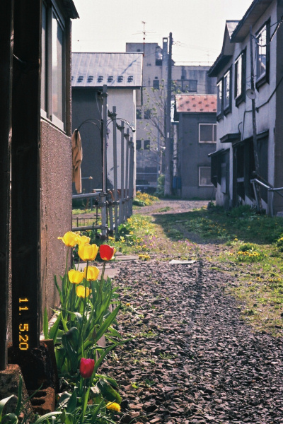 e0051186_5191597.jpg