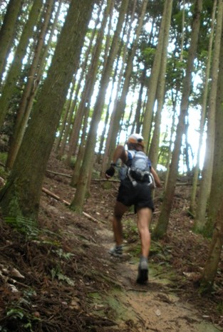 b0050787_14314.jpg
