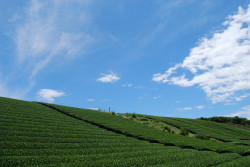 a0138589_08515.jpg