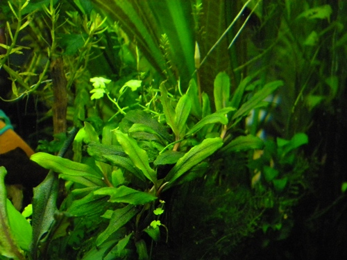 f0138093_1194263.jpg