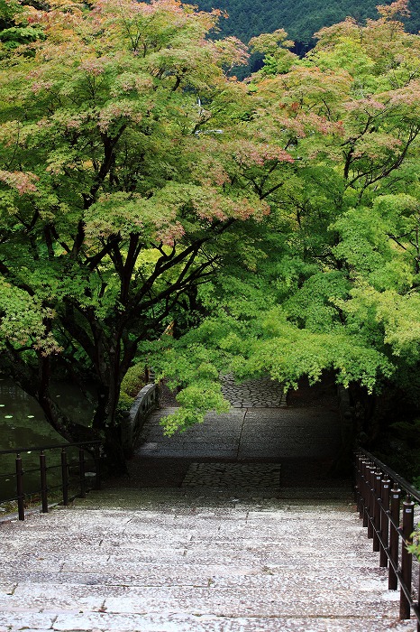 雨の円通寺_f0174293_740339.jpg