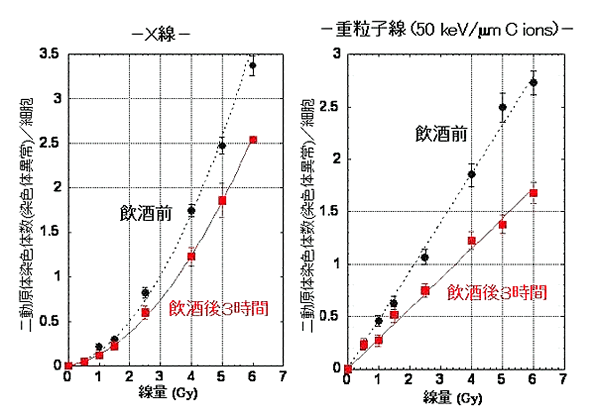 ★ビール成分に放射線防護効果を確認 放射線防護効果は最大34%にも_a0028694_5515736.gif