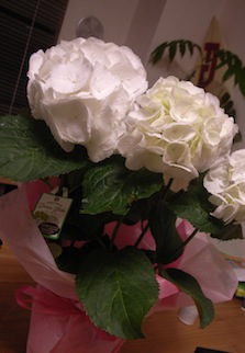 b0150897_18155455.jpg