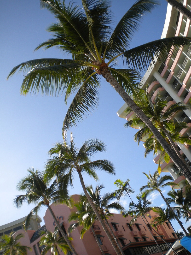 2011 1泊3日HAWAII旅行記~ワイキキビーチその1~_f0011498_111414.jpg