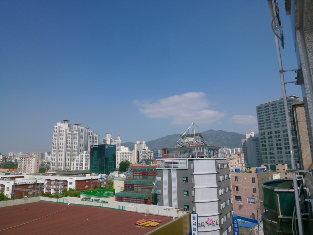 a0140305_003386.jpg