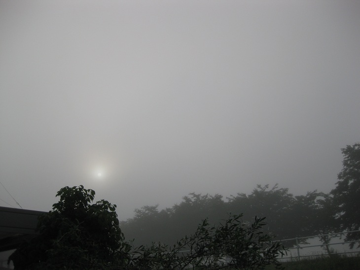 f0179209_11153814.jpg