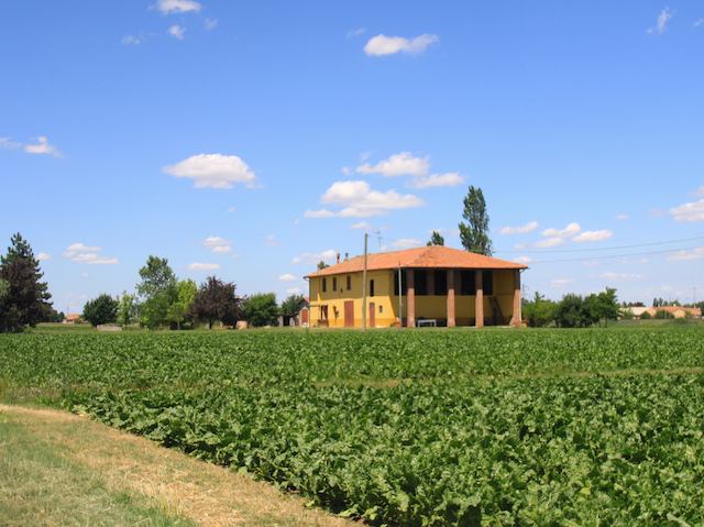 a0142810_7484235.jpg