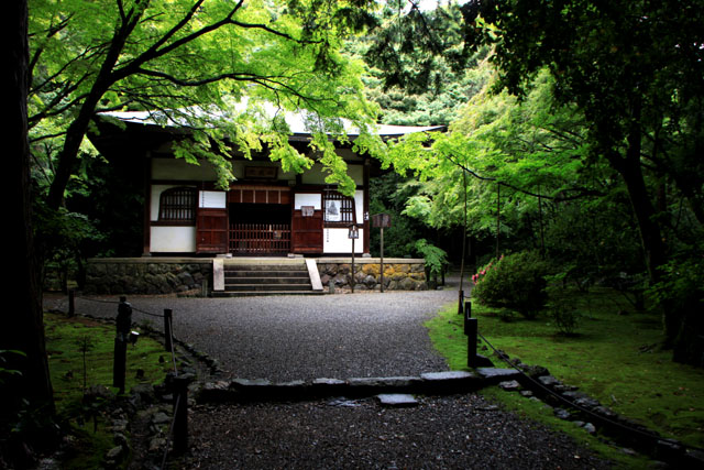 竹の寺 地蔵院_e0048413_201653.jpg
