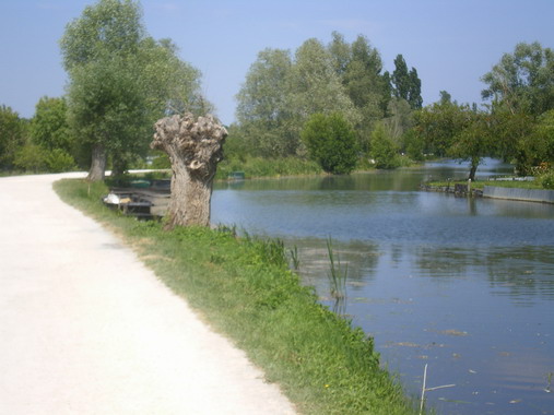 c0124619_0285672.jpg
