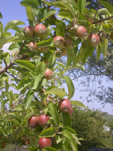 c0124619_03064.jpg
