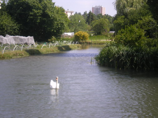 c0124619_0344344.jpg
