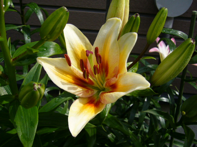 d0000324_14503864.jpg