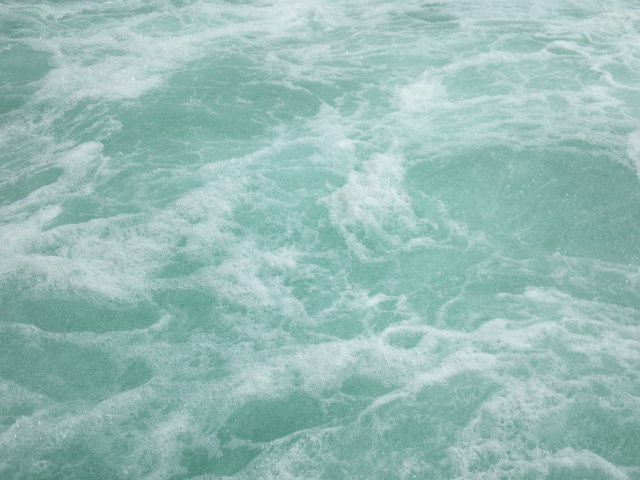 d0008724_12524074.jpg