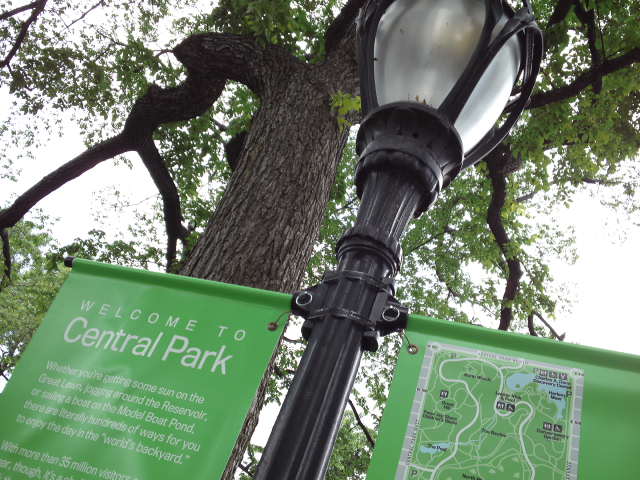 d0008724_13242299.jpg