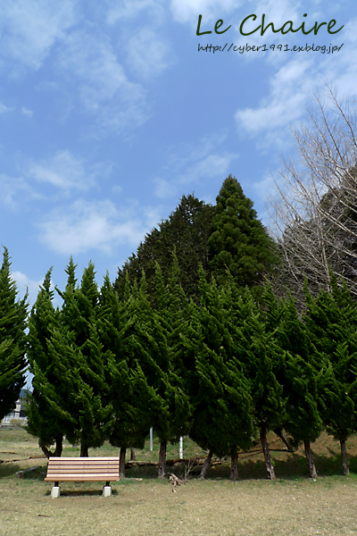 f0009439_17315729.jpg