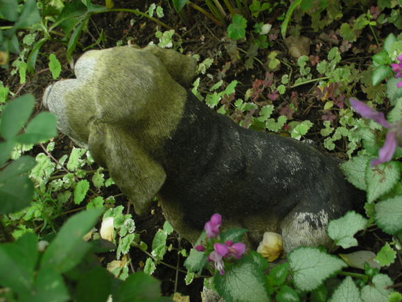 a0169150_22321116.jpg