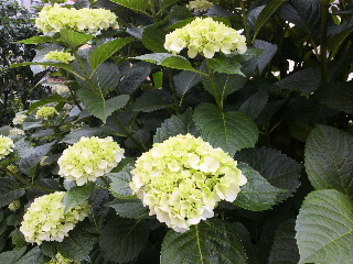 f0188652_18333565.jpg