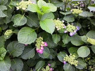 f0188652_18333581.jpg