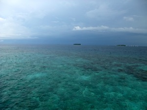 f0190653_184386.jpg
