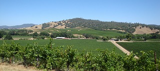 c0185058_7263530.jpg