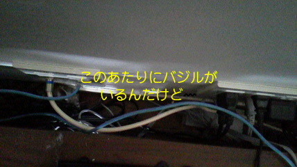 2011.6.3 プロジェクトＴ？？_d0038458_1139956.jpg