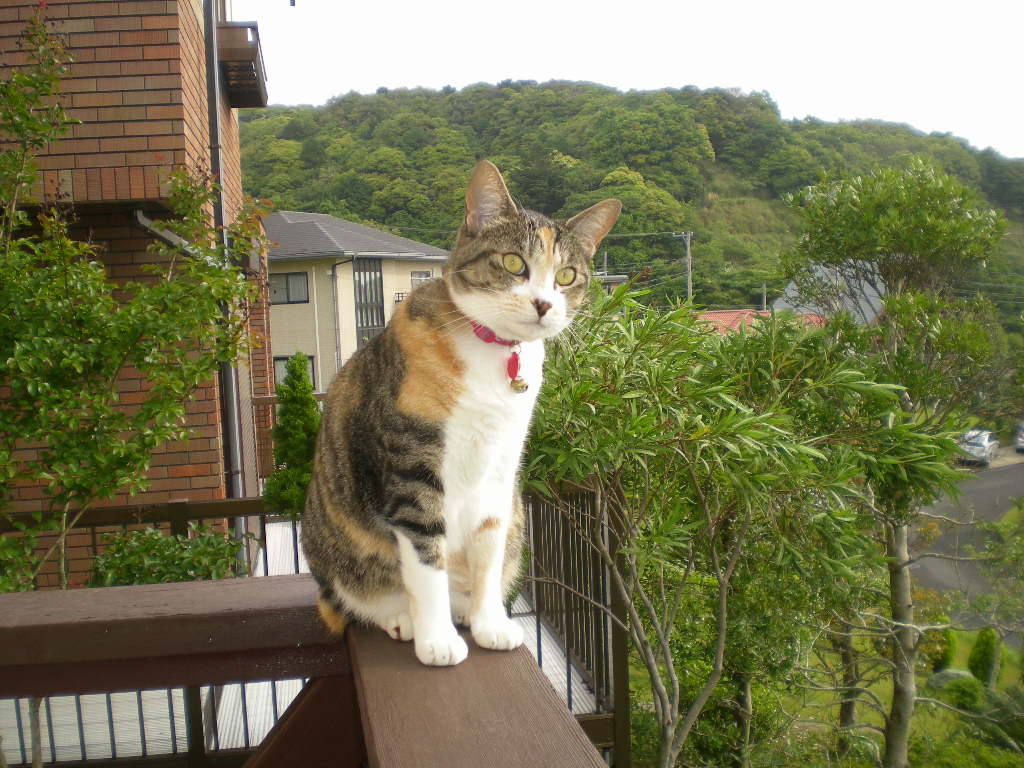 2011年6月3日(金)今日は卓球の日!_f0060461_12463775.jpg