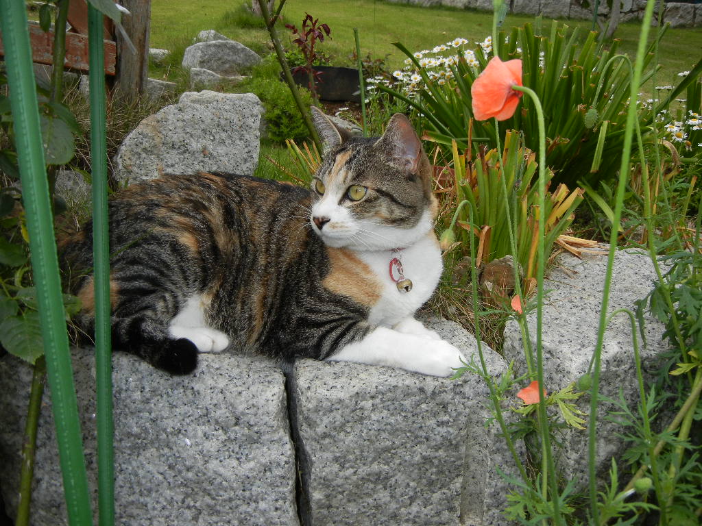 2011年6月3日(金)今日は卓球の日!_f0060461_12492117.jpg