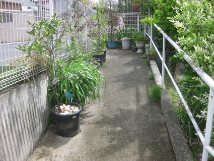 企画「大田原をもっと知ろう!」・・・その5、末広③。_b0063162_2235859.jpg