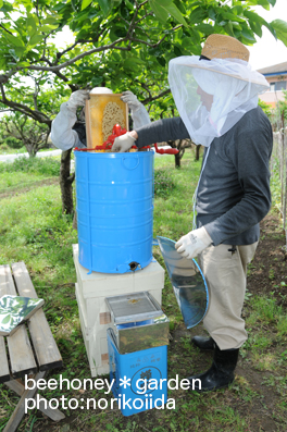 日記＊20110603＊梅雨の晴れ間に初採蜜しました！_b0228062_2146021.jpg