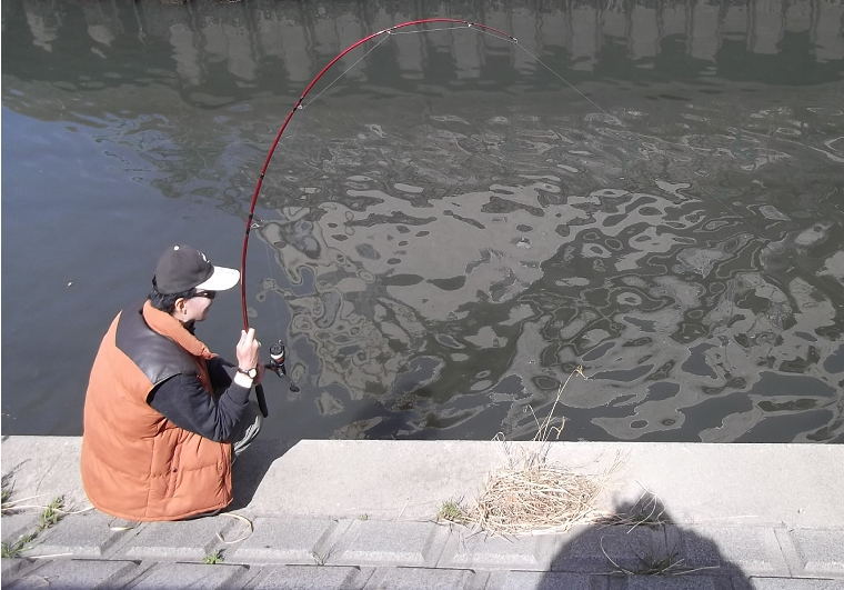 カーピングって 淡水五目釣り Fish Bless You