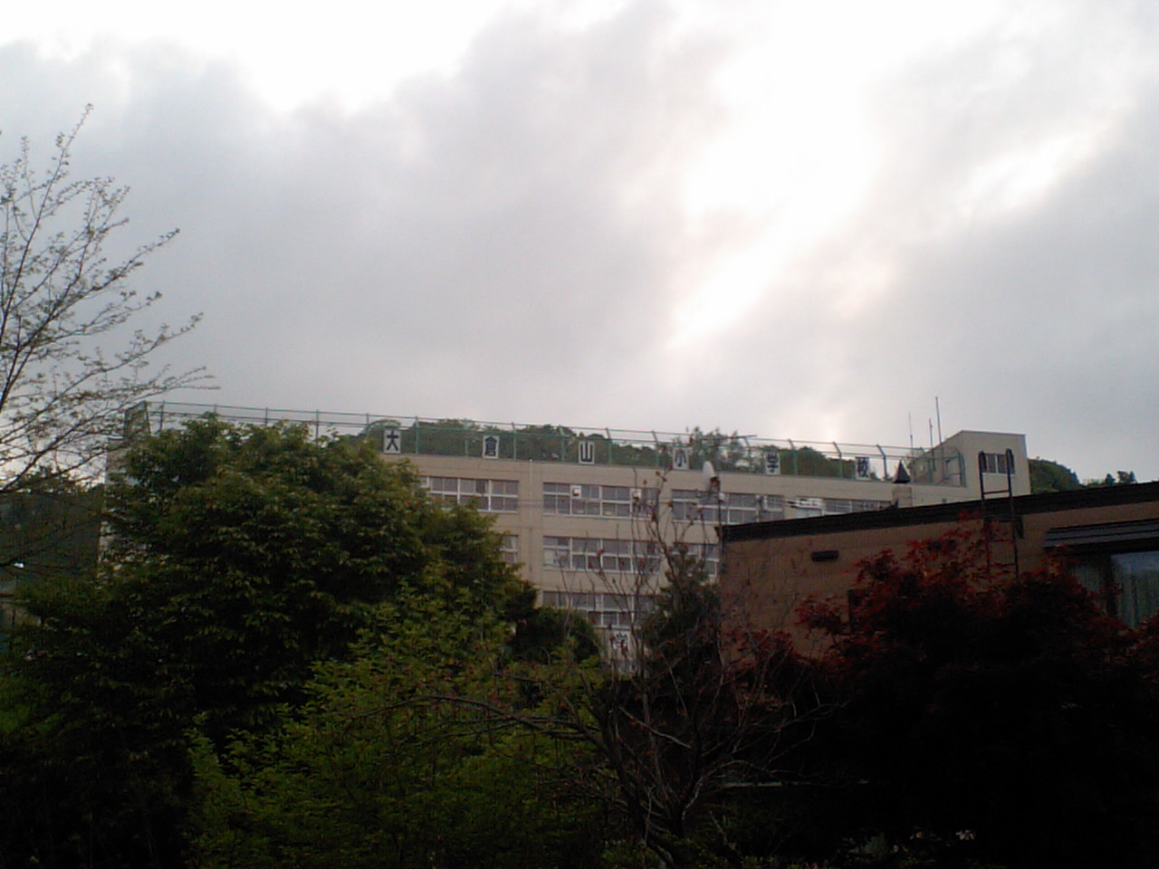 d0098665_17263349.jpg