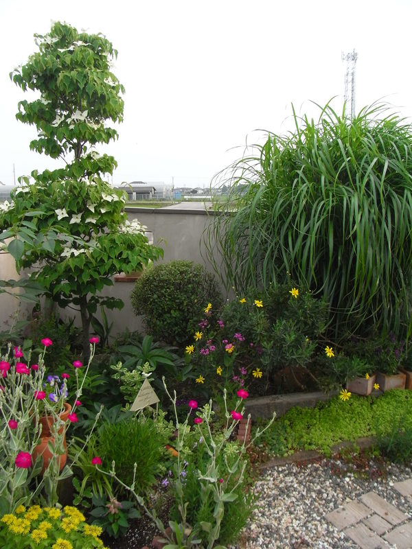 b0194267_19324157.jpg