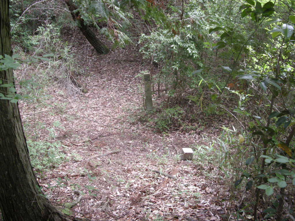 b0185573_1036345.jpg