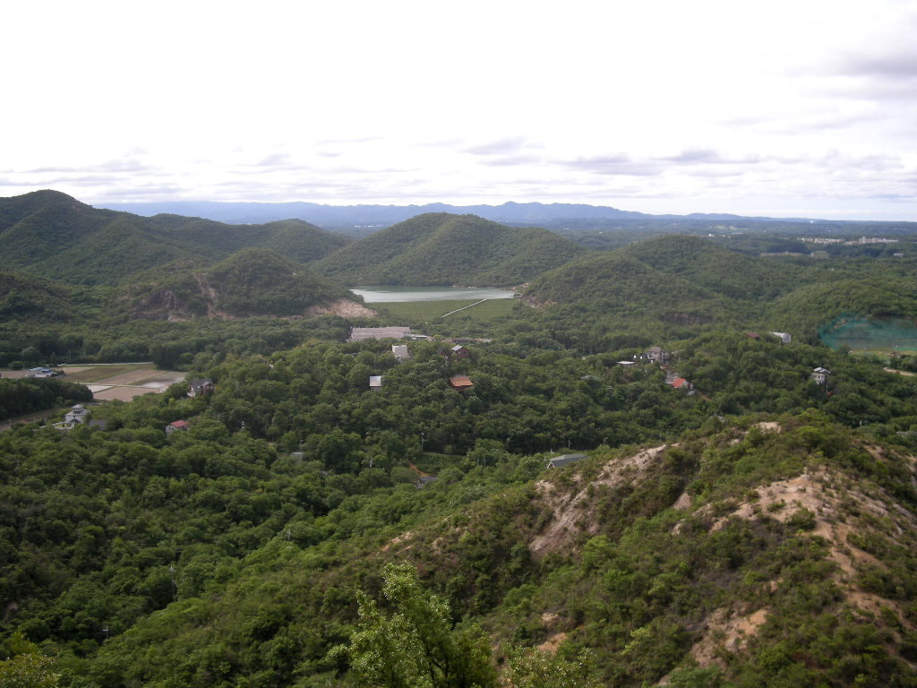 b0185573_54146.jpg