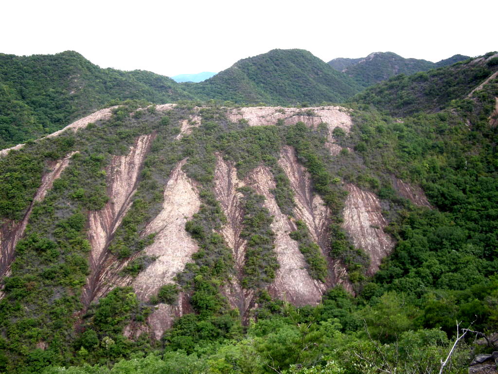 三草アルプス・数曾寺谷は大洪水_b0185573_5503069.jpg