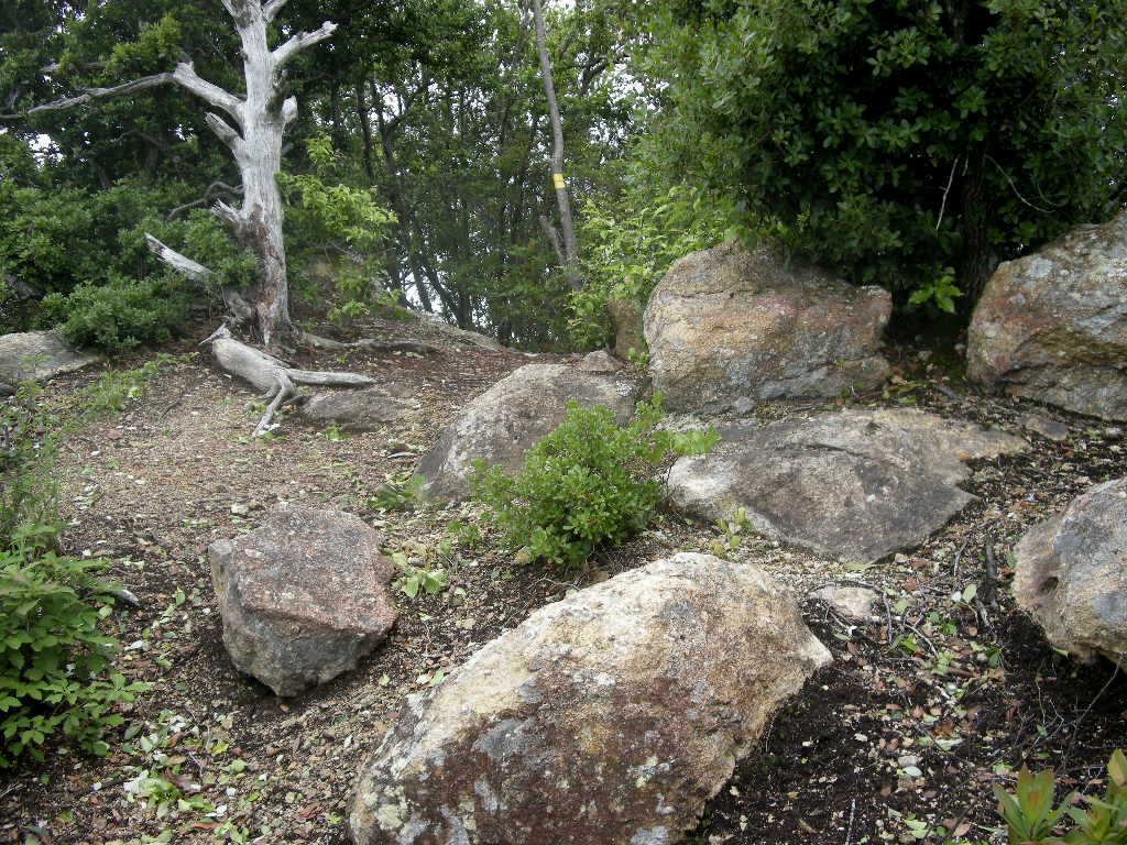 三草アルプス・数曾寺谷は大洪水_b0185573_6195984.jpg