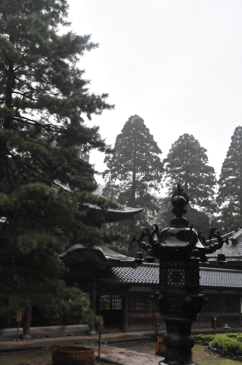 永平寺　５・３０_a0043276_7542598.jpg