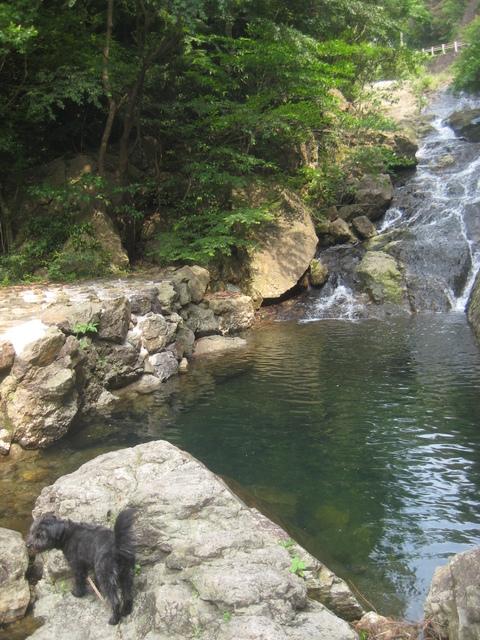チャイナオンザパークへ。_d0195183_081170.jpg