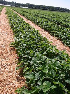 f0169885_532585.jpg