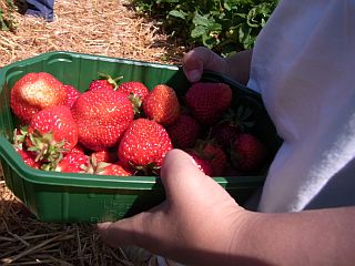 f0169885_535996.jpg