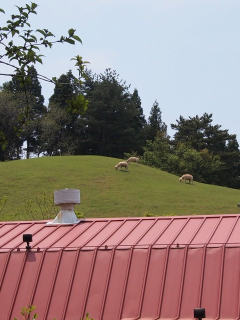 「六甲山」　と　「ミナミ」　と　ちょっとだけ　夜景_c0153888_1257446.jpg