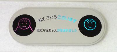 電飾看板_c0092689_17491098.jpg