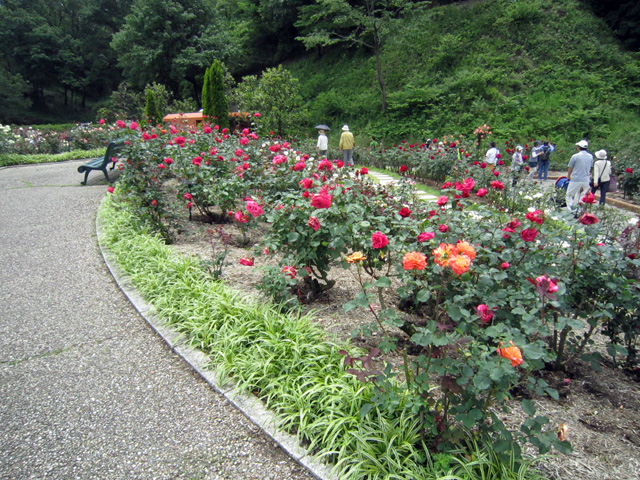 花フェスタ記念公園_d0093791_22172860.jpg