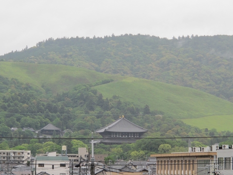 a0166196_95336.jpg